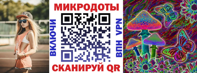 площадка клад  Северодвинск  Галлюциногенные грибы мицелий 
